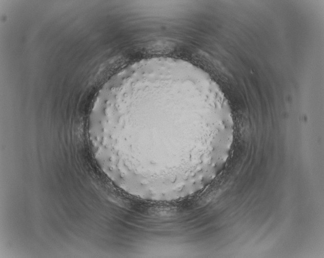 X0000076250745200610191648