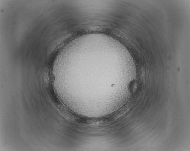 X0000076250746200610191648