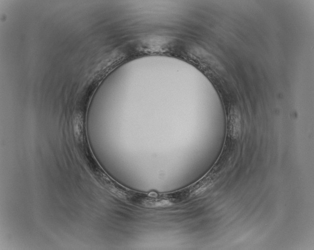 X0000076250747200610191648