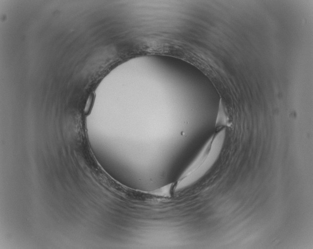 X0000076250748200610191648