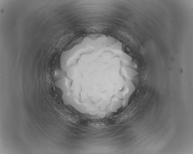 X0000076250749200610191648