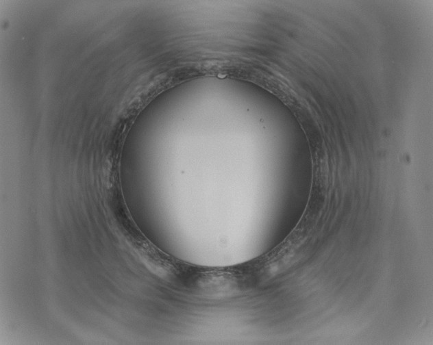 X0000076250750200610191648