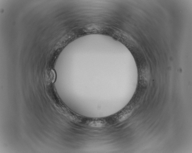 X0000076250751200610191648