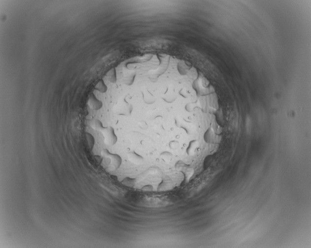 X0000076250753200610191648