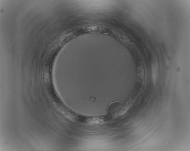 X0000076250754200610191648