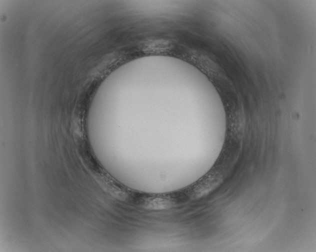 X0000076250755200610191648