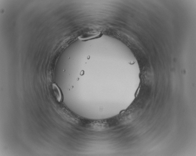 X0000076250756200610191648