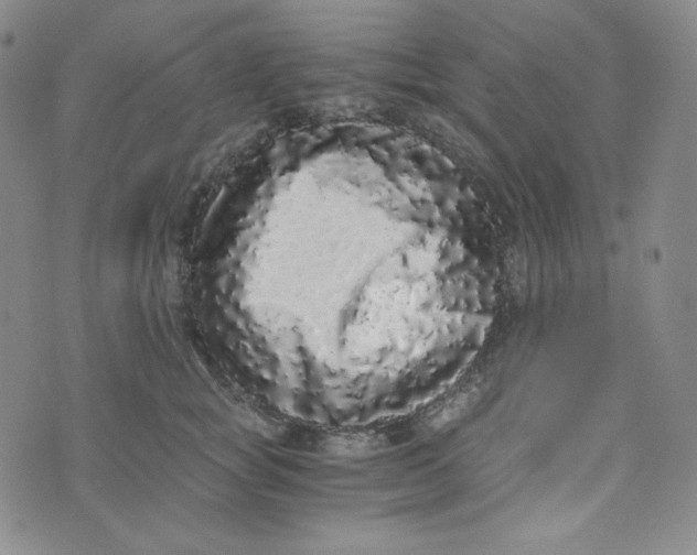 X0000076250757200610191648