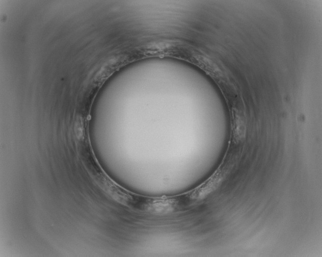 X0000076250758200610191648