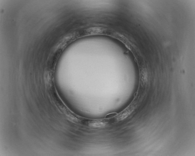 X0000076250759200610191648