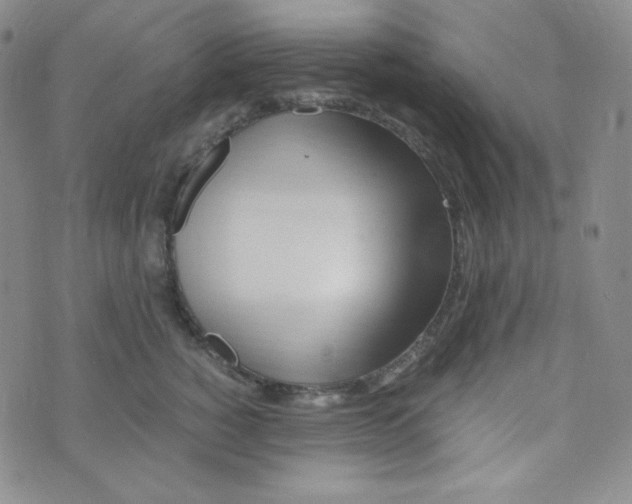 X0000076250760200610191648