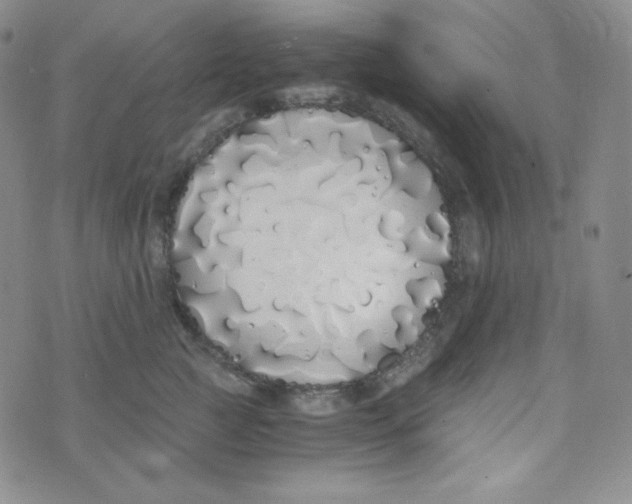 X0000076250761200610191648