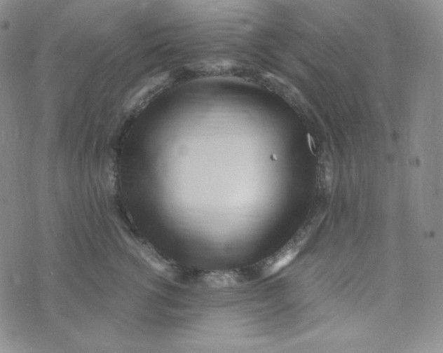 X0000076250762200610191648