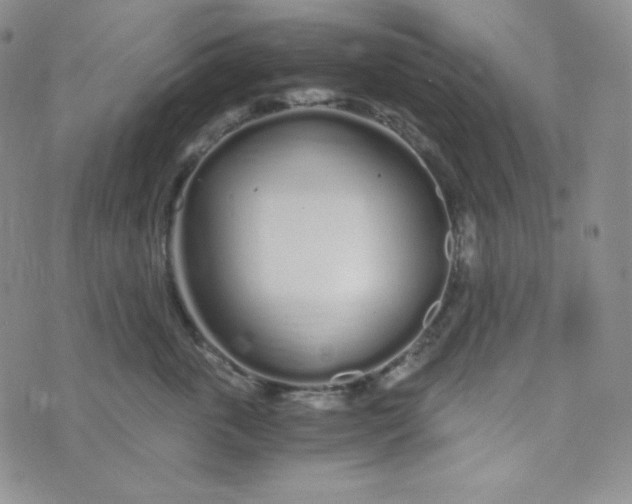 X0000076250763200610191648