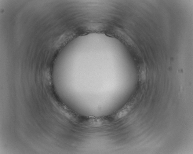 X0000076250764200610191649