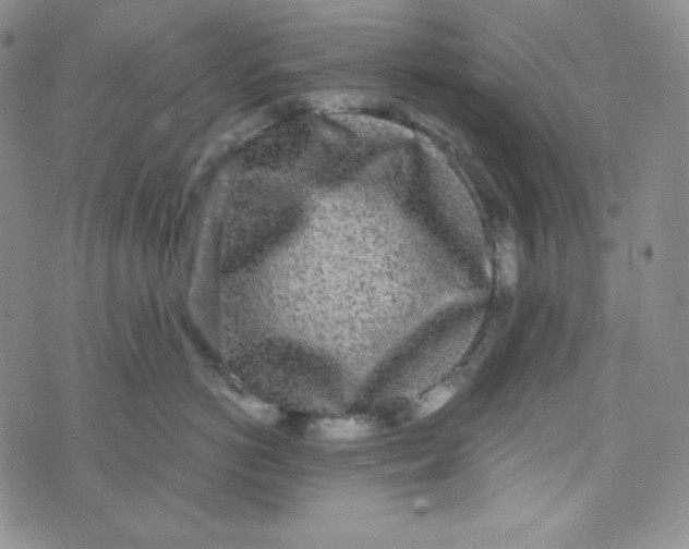 X0000076250766200610191649