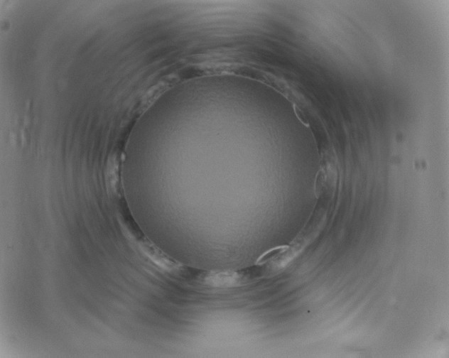 X0000076250767200610191649