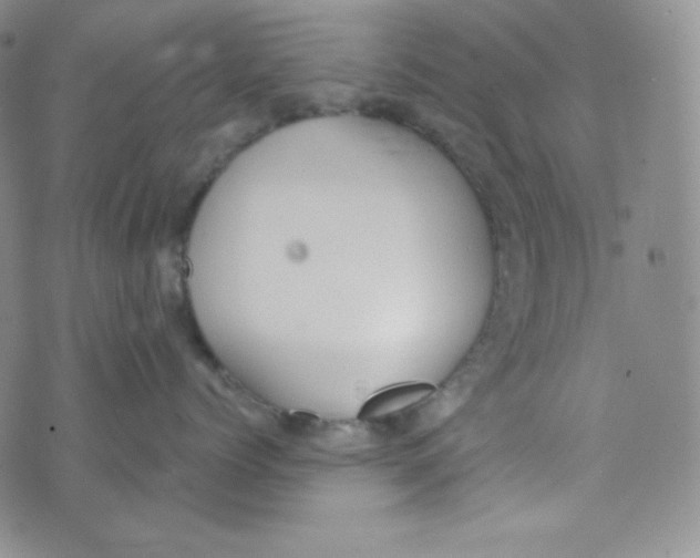 X0000076250768200610191649