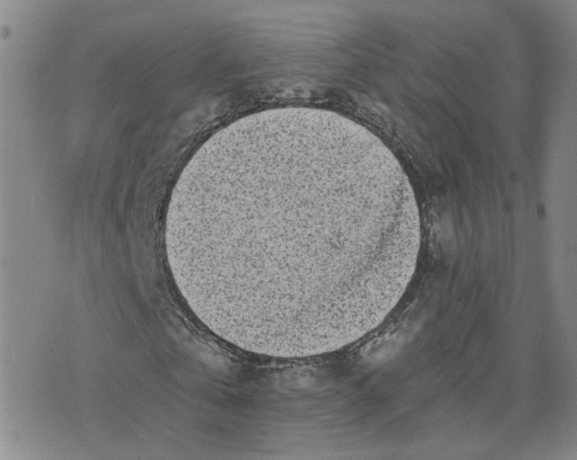 X0000076250769200610191648