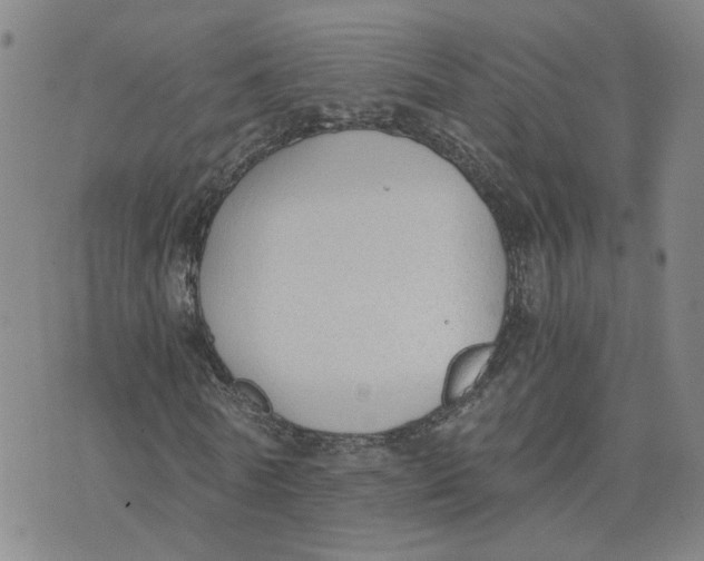 X0000076250770200610191648