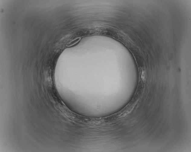 X0000076250771200610191648