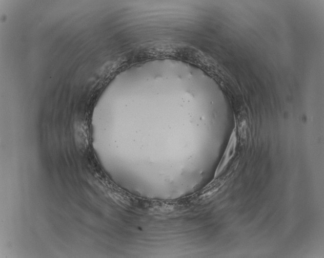 X0000076250772200610191648