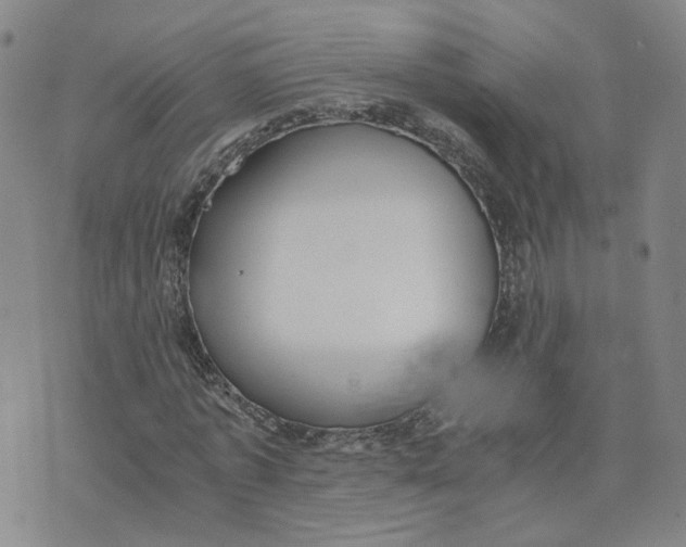 X0000076250773200610191648