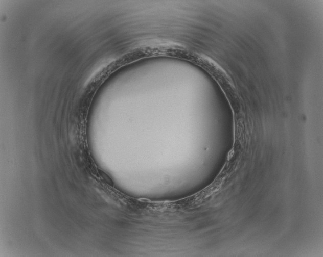 X0000076250775200610191648