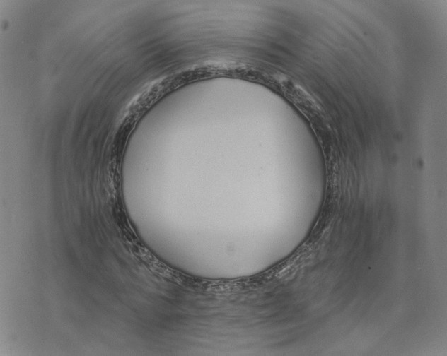 X0000076250776200610191648