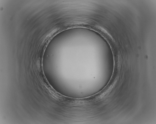 X0000076250777200610191648