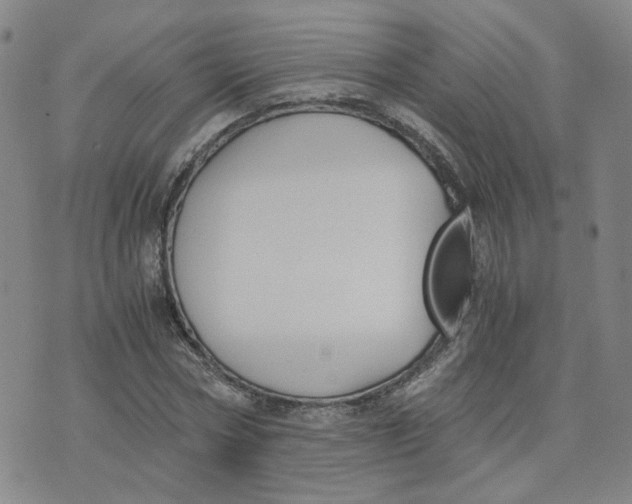 X0000076250778200610191648