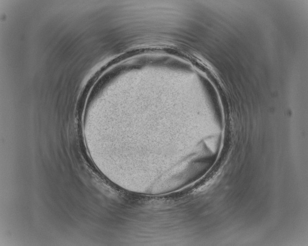 X0000076250779200610191648