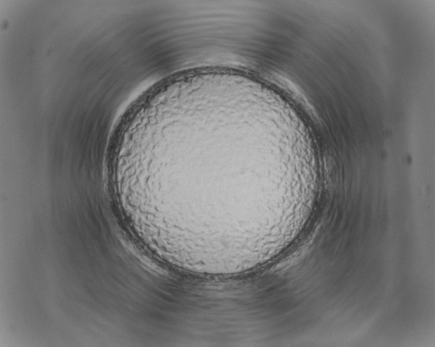 X0000076250780200610191648