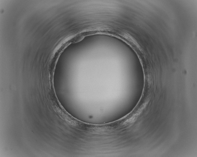 X0000076250781200610191648