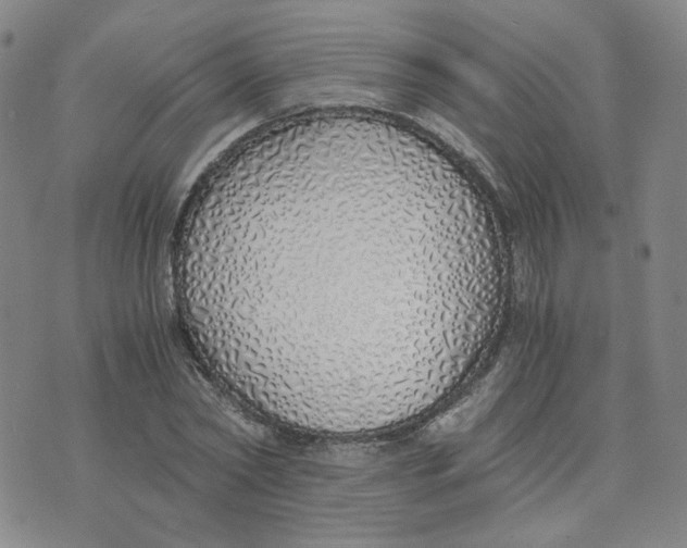 X0000076250782200610191648