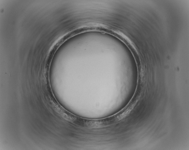 X0000076250783200610191648