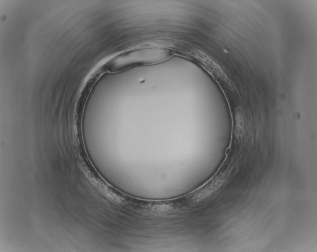 X0000076250784200610191648