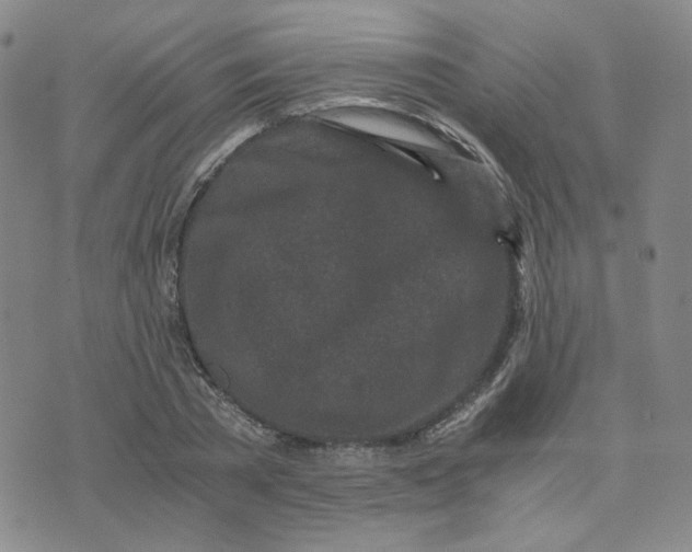 X0000076250785200610191648