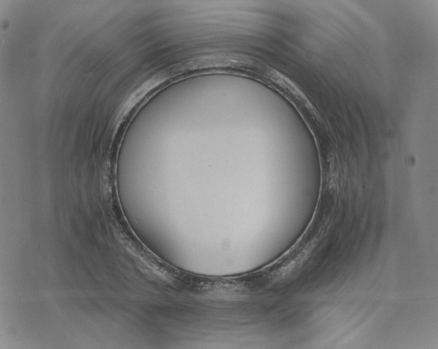 X0000076250786200610191648