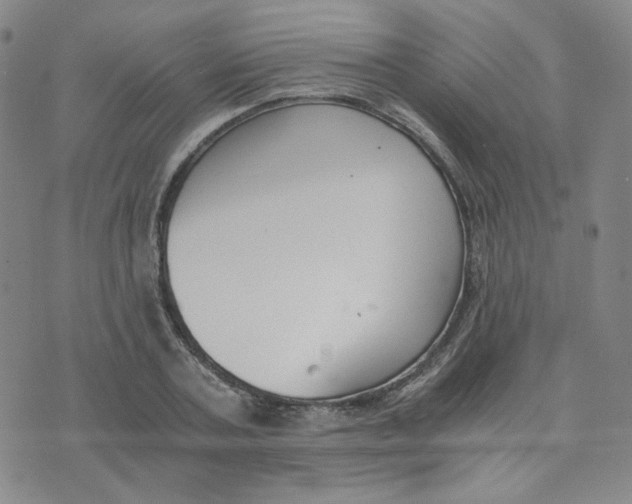 X0000076250787200610191647