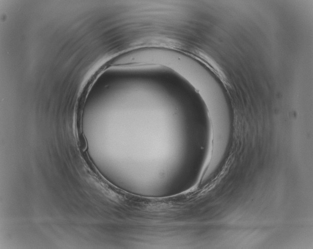 X0000076250788200610191647