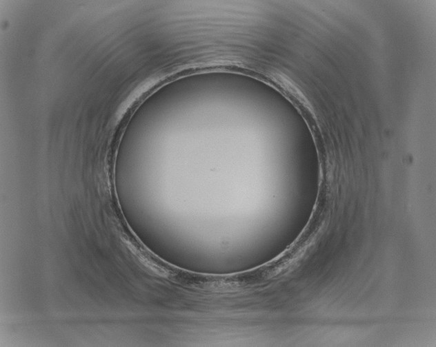 X0000076250789200610191647