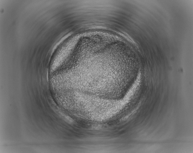 X0000076250790200610191647