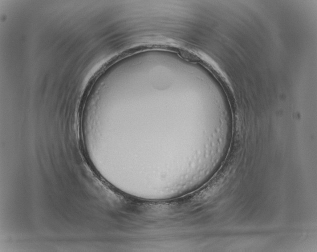 X0000076250791200610191647