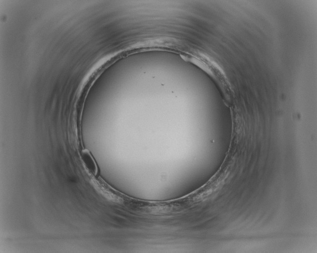 X0000076250792200610191647