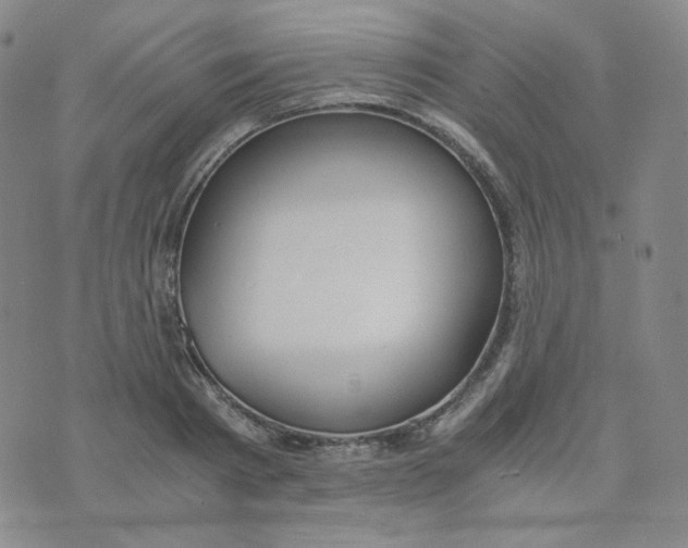 X0000076250793200610191647