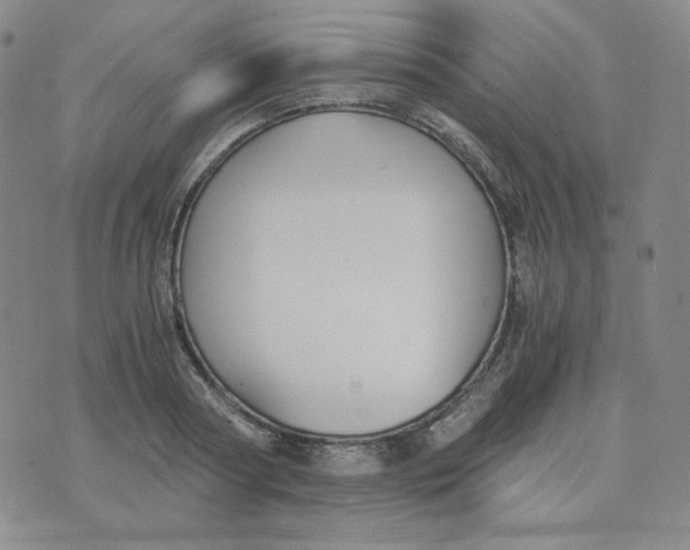 X0000076250794200610191647