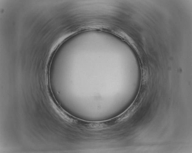 X0000076250795200610191647