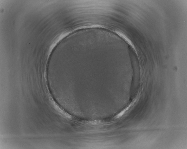 X0000076250797200610191647