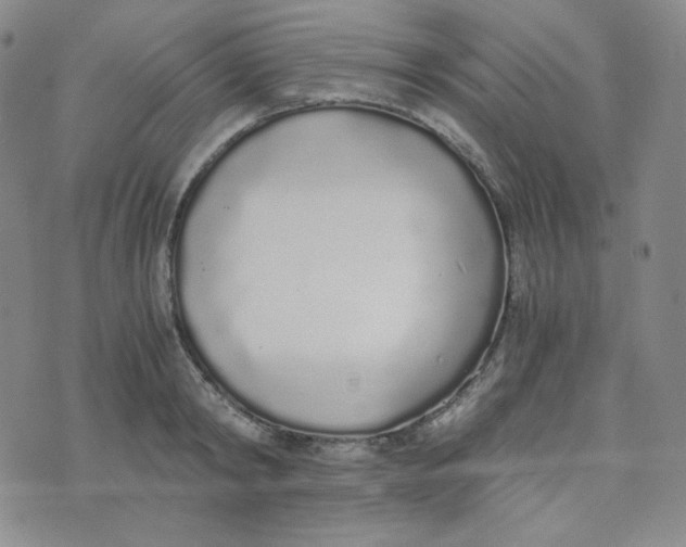 X0000076250798200610191647